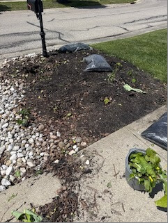 Mailbox garden bed with exposed soil during the refresh