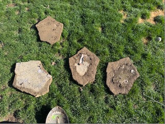 Stepping stones arranged on the grass