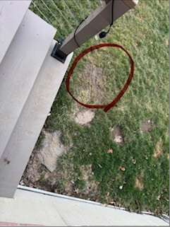 Worn grass at the bottom of the deck stairs