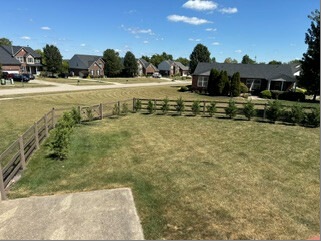 Earlier backyard with young trees surrounded by grass