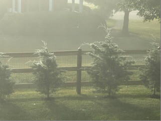 Fence and gate project in Chad's backyard