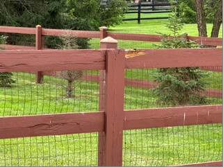 Old fence boards and wire mesh