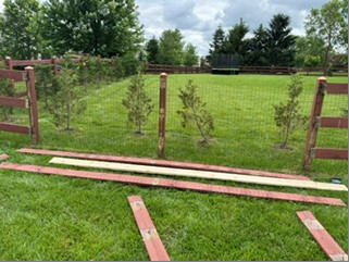Fence boards removed and laid on the grass