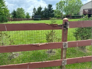 Weathered and damaged fence boards